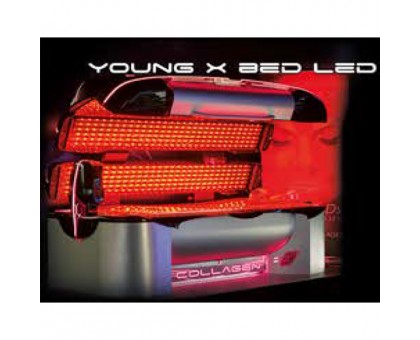 Young X BED LED